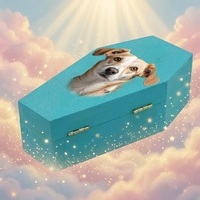 Caja Funeraria para Mascotas, Ataúd de Madera Maciza para Perros, Gatos y Pájaros, Impresión UV Personalizada con Nombre, Recuerdo Conmemorativo