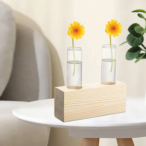 Terrario de Vidrio para Propagación de Plantas, Tubo de Ensayo para Plantas Hidropónicas, Decoración para Hogar y Jardín, Venta al Por Mayor - Product Image 3