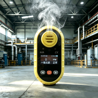 Détecteur de gaz HCN portable antidéflagrant pour l'électrodéposition, l'exploitation minière de l'or, les usines chimiques et les entrepôts de produits chimiques dangereux