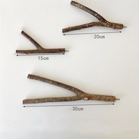 Mini arbre en bois naturel, tronc d'arbre, perchoir pour perroquet, jouet en bois pour cage à oiseaux, décoration, matériau en bois massif, résistant à la morsure