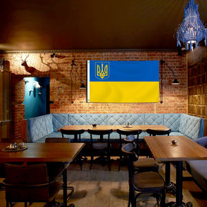 卸売3*5フィートポリエステルウクライナ国旗なしフェードイベント & ホリデーデコレーション自動車教育旅行代理店 - Product Image 5