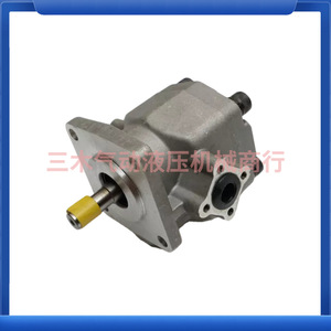 Bomba de Engranajes HGP 2A F2R F3R F4R F6R F8R F9R F12R 4B GPY 11.5R de Hierro Fundido Horizontal de Una Etapa con Accionamiento Eléctrico - Product Image 3