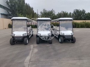 Carrito de Golf Eléctrico para Turismo, Homologado para Circular por la Calle, 48V, 3-4 Asientos, Certificado CE, Autonomía de 70-90 km - Product Image 6
