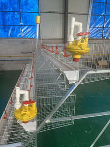 Approvisionnement d'usine galvanisé à chaud 60 oiseaux/poulets capacité Cage à poulet volaille Cage à poulet - Product Image 5