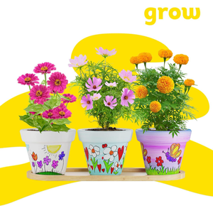 Juego de Macetas para Pintar para Niños, Hazlo Tú Mismo, Crea Tu Propio Jardín, Kit de Pintura para Niños - Product Image 5