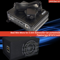 Amplificateur de subwoofer actif pour voiture Mono RMS 500W 2 ohms Bass Amp Peak 1000W 1 ohm Class D Car Amplifier Monoblock
