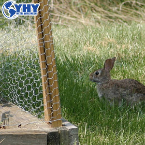 Rollo de Malla Hexagonal Galvanizada por Inmersión en Caliente para Cercas de Granja - Product Image 4