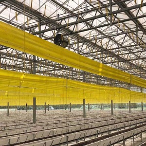 Piège collant jaune en rouleau, lutte antiparasitaire portable pour <span class=keywords><strong>plantes</strong></span> d'extérieur, serres, jardins, capture <span class=keywords><strong>les</strong></span> <span class=keywords><strong>moucherons</strong></span>, <span class=keywords><strong>les</strong></span> mouches des fruits, <span class=keywords><strong>les</strong></span> pucerons - Product Image 6