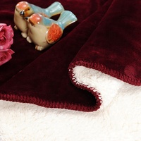 Couverture en peluche super douce en polyester Couverture à double pli Couverture Sherpa