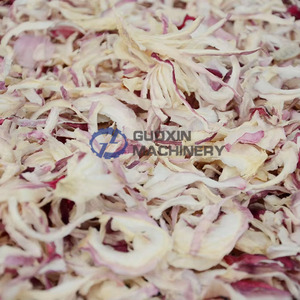Séchoir à bande maillée grande capacité pour légumes, machine de séchage d'oignons frais, séchoir à bande maillée pour tranches d'oignons - Product Image 3