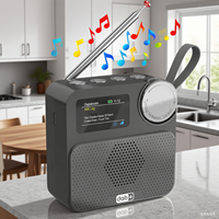 Radio numérique portable LCD sans fil BT DAB/DAB+ avec mini-réveil, mini-radio en plastique, radio FM avec antenne de signalisation