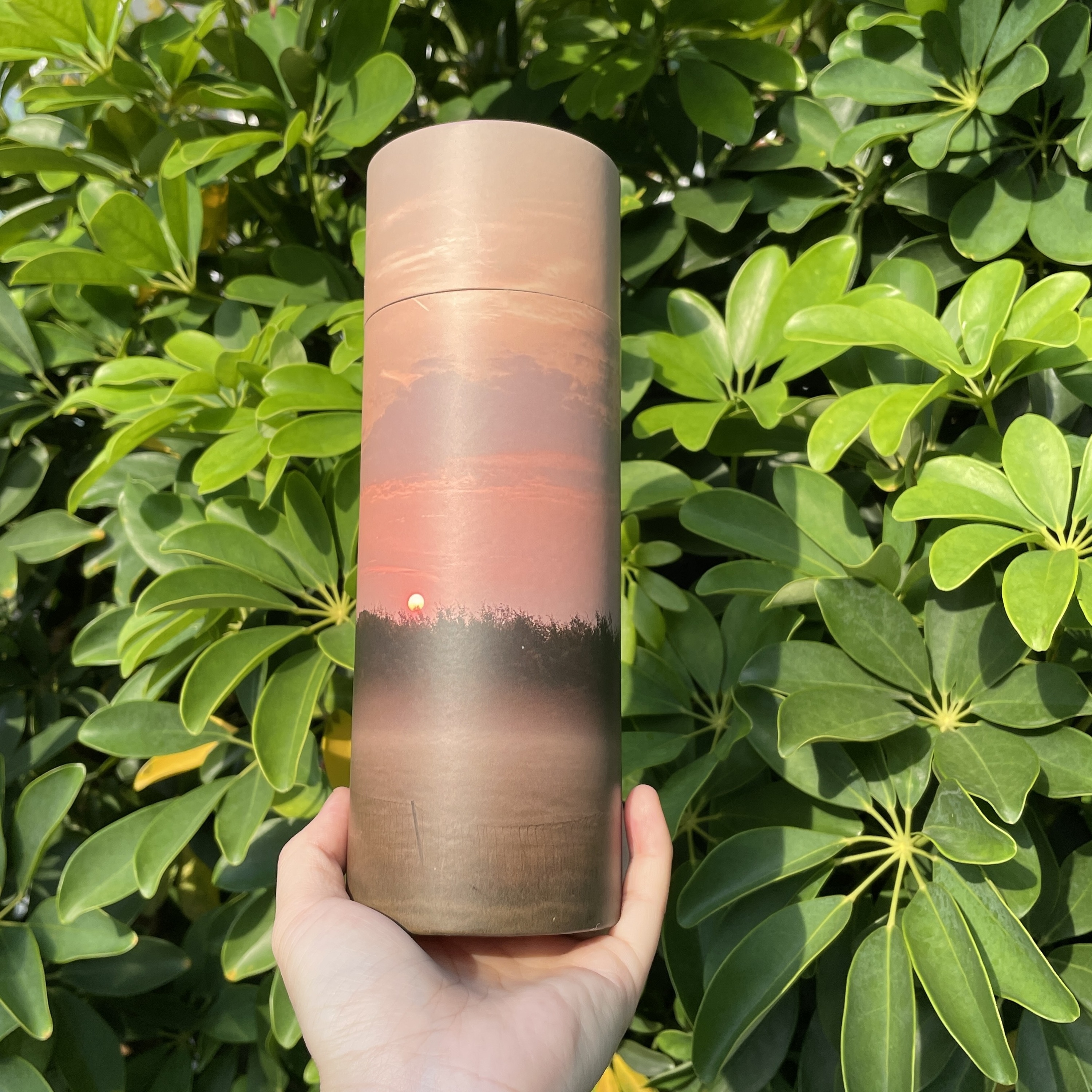 Eco sunset cylinder paper packaging box scatter tube biodegradeable pet keepsake urns sea burial human adult cremation ashes