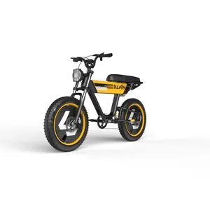 도매 2024 새로운 모델 전기 자전거 20 인치 빈티지 복고풍 오토바이 ebike 750W 1000W 지방 타이어 전기 산악 자전거