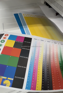 <span class=keywords><strong>Toner</strong></span> Colore Compatibile <span class=keywords><strong>Canon</strong></span> NPG-45 NPG45 G45 C-EXV28 EXV28 GPR30 per <span class=keywords><strong>Canon</strong></span> IR-ADV C5250 C5255 C5045 C5051 - Ricarica in Polvere - Product Image 3