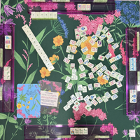 Jeu de Mahjong américain Garden Glow Matcha Pearl en acrylique monocouche gravé sur mesure pour divertissement intérieur