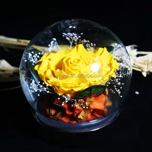 Hot Selling Red Rose langlebig mit Glaskuppel künstliche Blumen konservierte Blumen für Valentinstag Geschenke