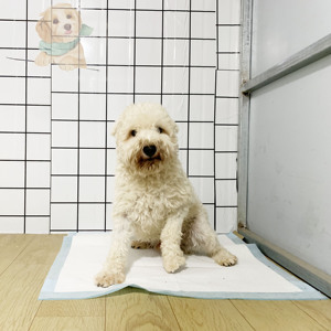 Tapis absorbants pour chiens, doux pour la peau, pour l'apprentissage de la propreté des chiots - Product Image 4