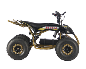 Nuevo ATV 2025 de 500w 2x4 con Certificación CE, Motocicleta Todoterreno de Cuatro Ruedas, Quad, Moto en Venta - Product Image 3
