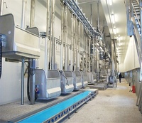 Équipement de ligne d'abattage de porcs industriel Honyo, machine en acier inoxydable, automatique, haute productivité