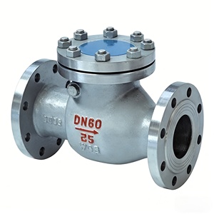 วาล์วกันกลับแบบสวิง DN60 PN25 WCB เหล็กกล้าคาร์บอน สำหรับท่ออุตสาหกรรม - Product Image 1