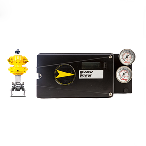 New and Original PMV D20 Digital WIth Shanghai Dianjian - Product Image 1