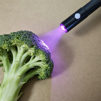 Lampe torche stylo en aluminium rechargeable USB-C à LED UV et LED blanches, détecteur de lumière noire 395nm pour urine d'animaux, lampe torche stylo portable