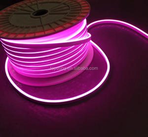 Daylight White Neon <strong>Lights</strong> <strong>12v</strong> 6x12mm IP65 Neon Flex Strip Multiple Color DIY Neon Sign <strong>Light</strong> for Amsterdam <strong>Light</strong> Art Festival - Product Image 6