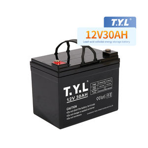 T.Y.L <span class=keywords><strong>AGM</strong></span> <span class=keywords><strong>batterie</strong></span> au plomb-acide plaque 12V <span class=keywords><strong>30AH</strong></span> <span class=keywords><strong>batterie</strong></span> au plomb-acide inondée 12v <span class=keywords><strong>30ah</strong></span> <span class=keywords><strong>batterie</strong></span> au plomb-acide scellée pour caméra de sécurité solaire - Product Image 2