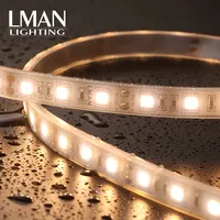 Haute qualité IP étanche IP68 silicone injection 8MM largeur DC 12V 24V 9.6W SMD2835 led bande lumineuse