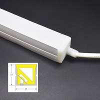 Bandes lumineuses néon flexibles en silicone super longues de 30 m, DC24V, 60 LED, 10 pixels/m, 3D, flexibles, RGB, adressables