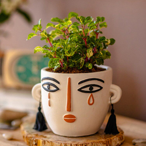 Maceta con Diseño Creativo y Abstracto de Rostro, Decoración de Escritorio, para Balcón, Suculentas, Flores Pequeñas - Product Image 4