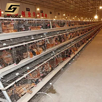 Système d'élevage de poulets en batterie résistant à la corrosion pour 3 poulets - Équipement avicole pour ferme avicole