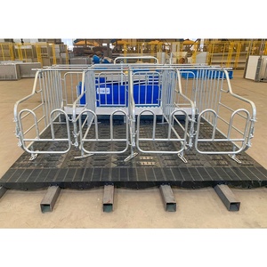 Cages de maternité galvanisées pour truies, cages pour animaux de ferme très demandées pour porcs - Product Image 5