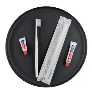 Wholesale environmental protection disposable toothpaste amenities dental tools plastic toothbrush for hotel