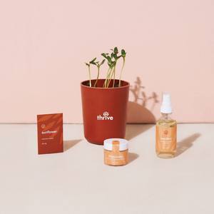 Shine Bright-Kit de positivité radieuse pour kit de méditation consciente Kit de culture de bambou tournesol pour cadeau coopératif - Product Image 6