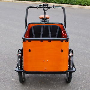 จักรยานไฟฟ้าสามล้อ City Ebike Trike CE 250W 500W สำหรับบรรทุกสินค้า จักรยานบรรทุกไฟฟ้า จักรยานสามล้อไฟฟ้าพร้อมกล่องบรรทุก จักรยานสามล้อบรรทุก - Product Image 3
