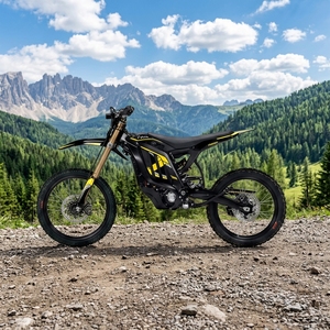 Bicicleta Eléctrica Todoterreno de Alta Velocidad de 24kw Light 2, 78.54V 45Ah Zerogo X 2026 1. Potencia Aumentada, Rendimiento de Aceleración Mejorado 0-80 - Product Image 2