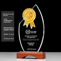 Trophées en cristal de verre de haute qualité gravés au laser, figurines portables pour récompenser les employés exceptionnels