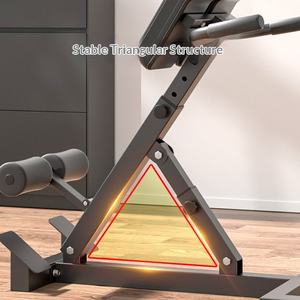 Chaise romaine d'hyperextension <span class=keywords><strong>pour</strong></span> musculation, équipement de fitness, prix direct usine - Product Image 4