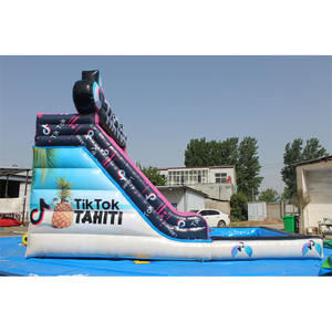 2025 parc à thème gonflable de haute qualité à vendre fête belle bande dessinée - Product Image 1