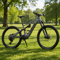 En stock, vélo électrique Amflow PR / PR POR avec cadre en carbone, gris basalte, modèle 2027