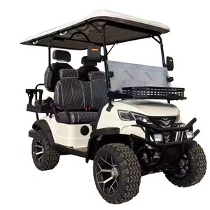 Bus touristique électrique avec batterie au lithium 2 + 2 sièges Tour Car Golf Cart - Product Image 4