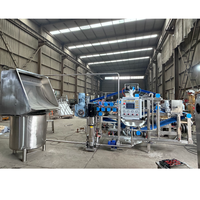 Automatische bandfilterpers sapcentrifuge grootschalige fruit sap extractiemachine