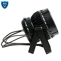 Projecteur PAR LED extérieur GBR-TL1941 19x10W IP65 avec zoom pour éclairage de scène et architectural