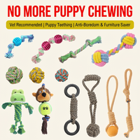 Jouets à mâcher interactifs en corde de coton pour nettoyer les dents des chiens, avec un design simple pour les petits chiens