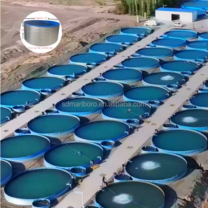 Tanque de Cultivo de Peces SDMARLBORO SDM, <span class=keywords><strong>Precio</strong></span> de Fábrica, PVC+Acero Galvanizado, Certificado ISO 9001, Sistema de Acuicultura Comercial con Biofiltro - Product Image 4