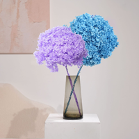Lovebay bunga Hydrangea asli diawetkan, bunga Hydrangea asli merah putih dengan batang untuk pesta pernikahan rumah