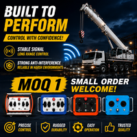 Télécommande professionnelle étanche par radio pour grue de camion, commande sans fil pour grue proportionnelle