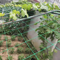 Filet de soutien en plastique pour plantes grimpantes (raisin, haricot, caroube) – Treillis pour melons, légumes et fruits de jardin – En vente