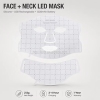 Masque facial en silicone OEM ODM rechargeable, vente en gros, logo personnalisé, marque privée, appareil de soin de la peau pour salon et spa